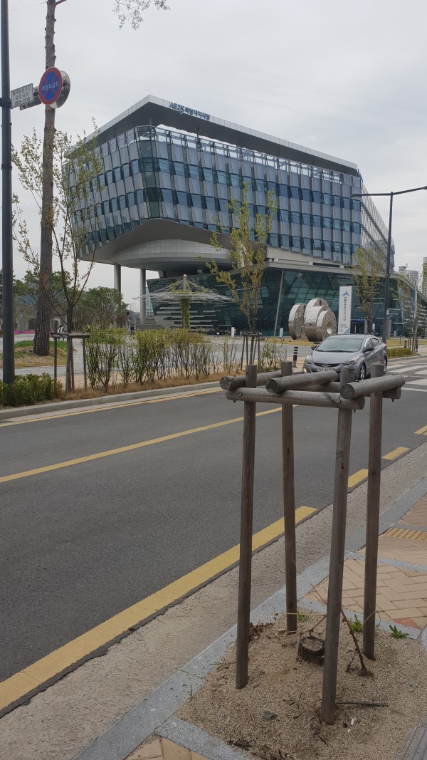 세종시청에서 사진 2