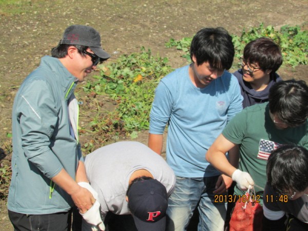 2013 사진 2